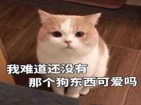 苏州诚泽商贸有限公司