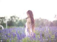 苏州诚泽商贸有限公司