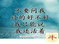 苏州诚泽商贸有限公司
