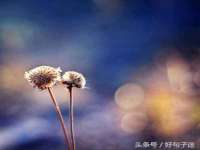 苏州诚泽商贸有限公司