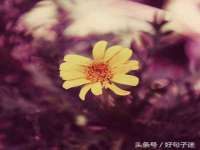 苏州诚泽商贸有限公司
