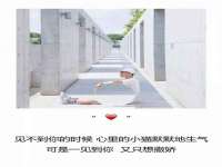 苏州诚泽商贸有限公司