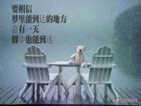 苏州诚泽商贸有限公司