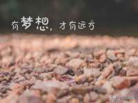苏州诚泽商贸有限公司
