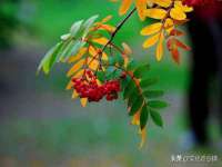 苏州诚泽商贸有限公司