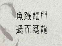 苏州诚泽商贸有限公司