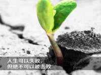 苏州诚泽商贸有限公司