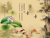 苏州诚泽商贸有限公司