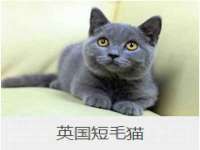 苏州诚泽商贸有限公司