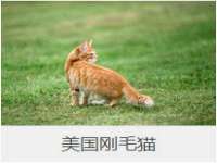 苏州诚泽商贸有限公司