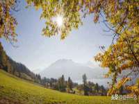 苏州诚泽商贸有限公司