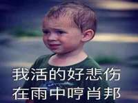 苏州诚泽商贸有限公司