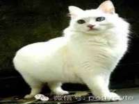 苏州诚泽商贸有限公司