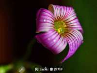 苏州诚泽商贸有限公司