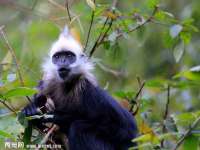 苏州诚泽商贸有限公司