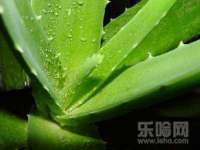 苏州诚泽商贸有限公司