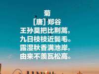 苏州诚泽商贸有限公司