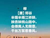 苏州诚泽商贸有限公司