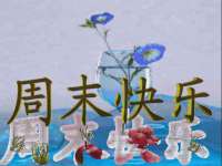 苏州诚泽商贸有限公司