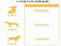 苏州诚泽商贸有限公司
