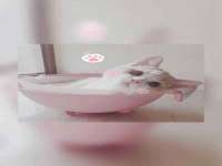 苏州诚泽商贸有限公司