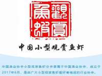 苏州诚泽商贸有限公司