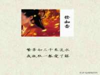 苏州诚泽商贸有限公司