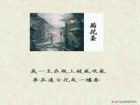 苏州诚泽商贸有限公司