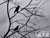 苏州诚泽商贸有限公司