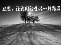 苏州诚泽商贸有限公司