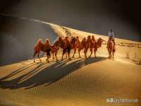 苏州诚泽商贸有限公司