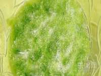 苏州诚泽商贸有限公司