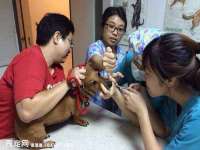 苏州诚泽商贸有限公司