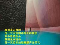 苏州诚泽商贸有限公司