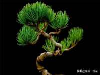苏州诚泽商贸有限公司