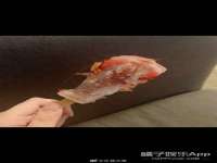 苏州诚泽商贸有限公司